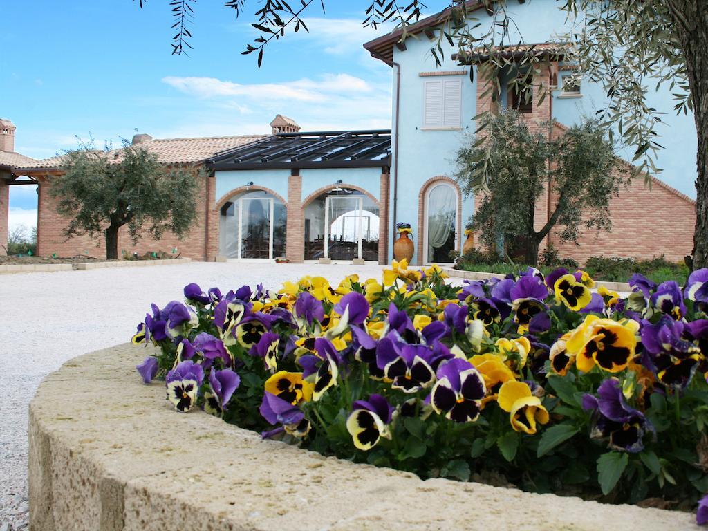 Agriturismo L'Infinito Villa Gambettola Bagian luar foto